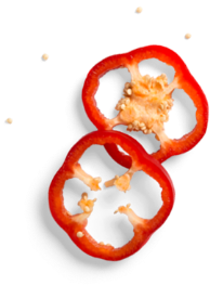 Rocoto